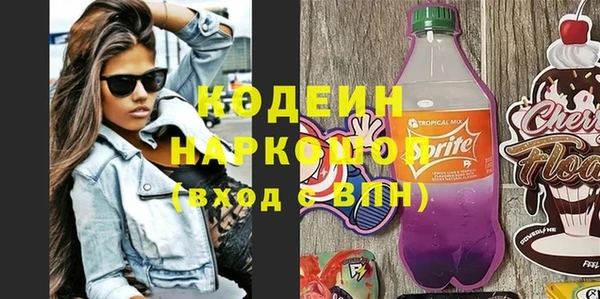 прущие грибы Алзамай