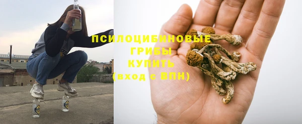 прущие грибы Алзамай