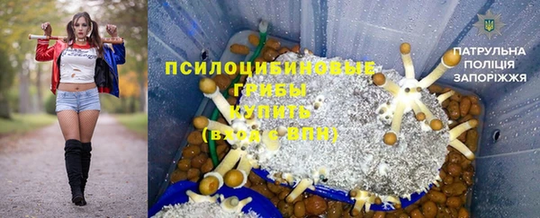 соль ск Алексеевка