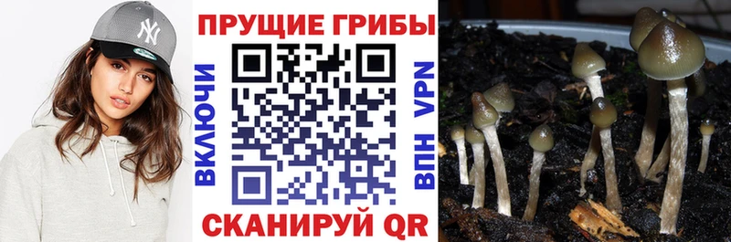 Псилоцибиновые грибы Magic Shrooms даркнет сайт Домодедово
