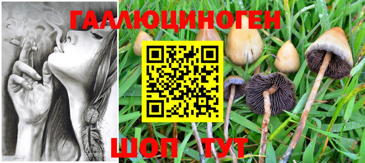 Псилоцибиновые грибы мицелий  Вход с VPN  Псилоцибиновые грибы Cubensis  Домодедово 