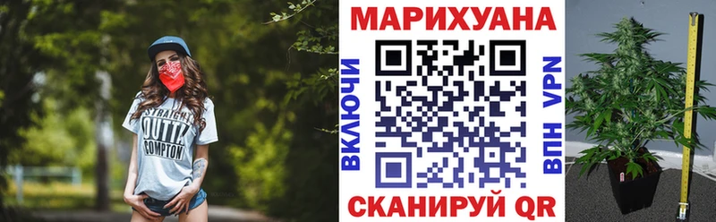 Каннабис White Widow цены Домодедово